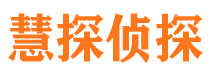 凤台市调查公司